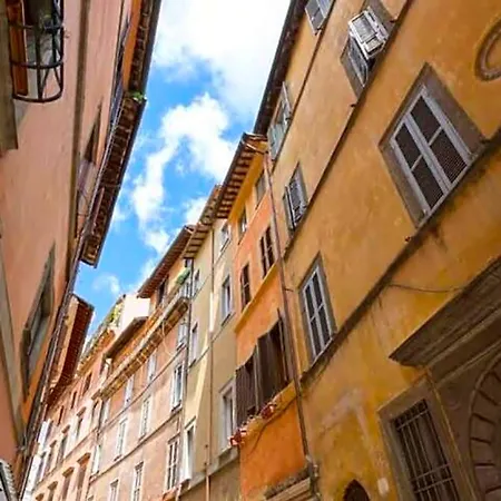 فندق Piazza Navona Terrace